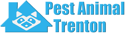 Trenton Wildlife and Animal Removal